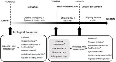 Pathogenic Dynamics During Colony Ontogeny Reinforce Potential Drivers of <mark class="highlighted">Termite</mark> Eusociality: Mate Assistance and Biparental Care
